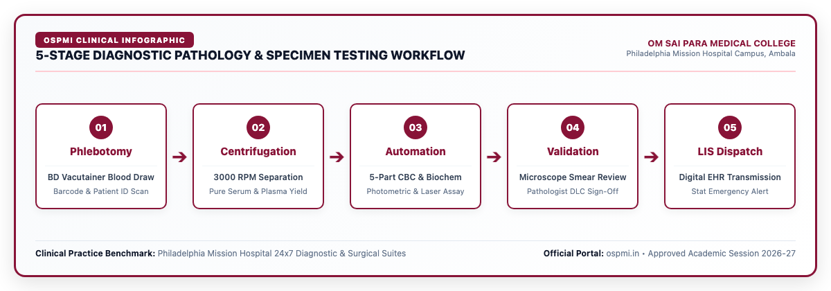 5-STAGE DIAGNOSTIC PATHOLOGY & SPECIMEN TESTING WORKFLOW OSPMC Ambala